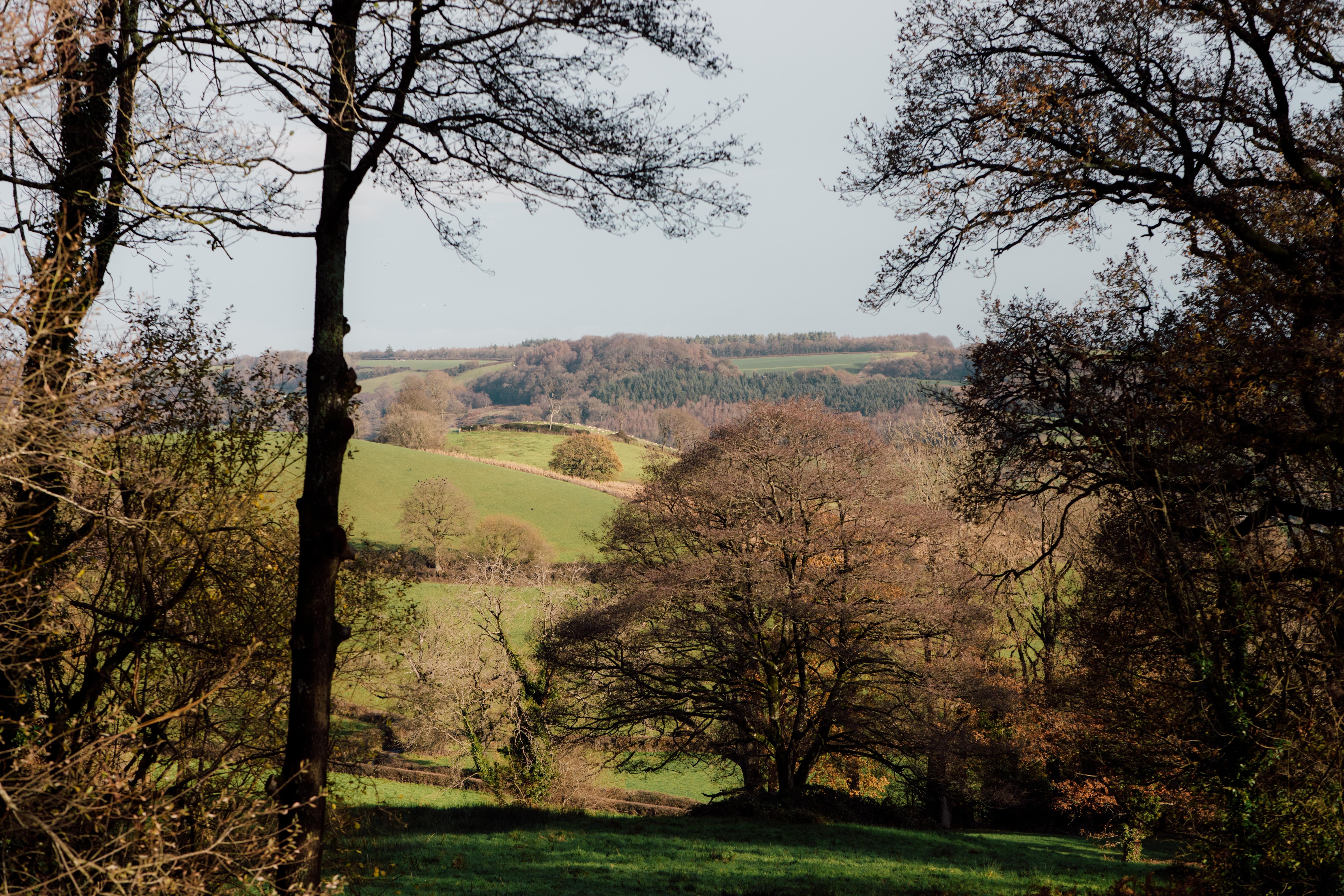 Crows' Nest Two Image